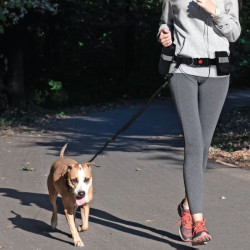 Hands Free Waist Bungee Leash
