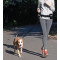 Hands Free Waist Bungee Leash