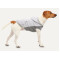 Kangaroo Fleece Hoodie
