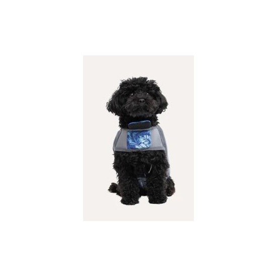 Dog Life Vest