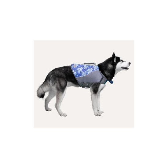 Dog Life Vest
