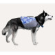Dog Life Vest