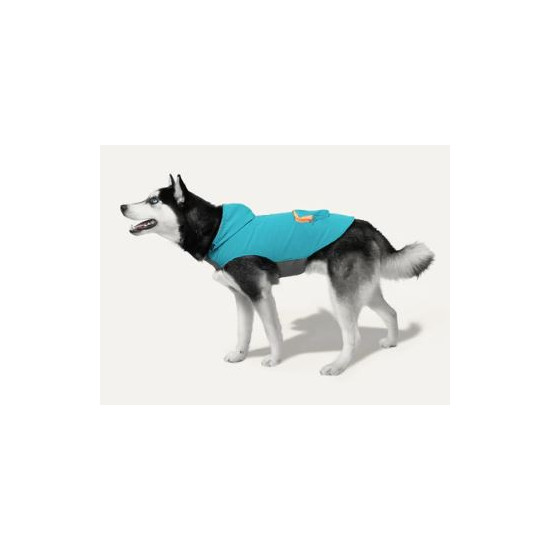 Hooded Rain Poncho