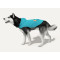 Hooded Rain Poncho