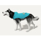 Hooded Rain Poncho