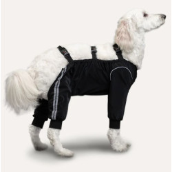 Splash Pant