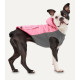 Hooded Signature Winter Jacket