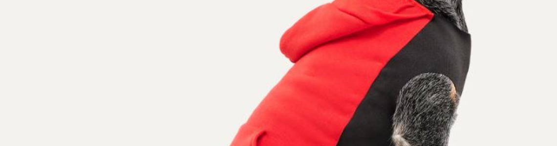 Apparel