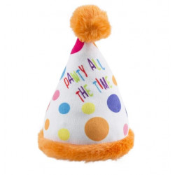 Birthday Party Hat