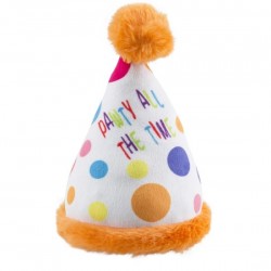 Birthday Party Hat
