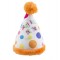 Birthday Party Hat