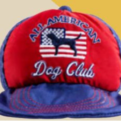 Americana Trucker Hat