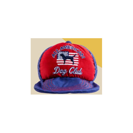 Americana Trucker Hat