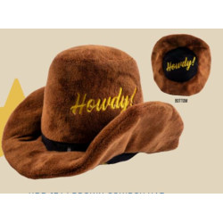 Brown Cowboy Hat