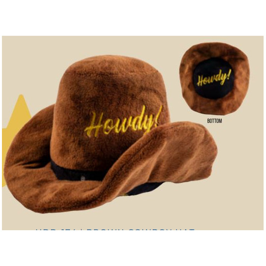 Brown Cowboy Hat