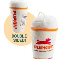 Pupkin' Donuts Hot Coffee