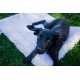 HuggleFleece Mat - Natural