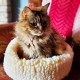 HuggleFleece HuggleSnuggler Bed