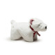 Squooshie - Nordic Frost Polar Bear