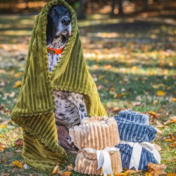 Scout Blankie