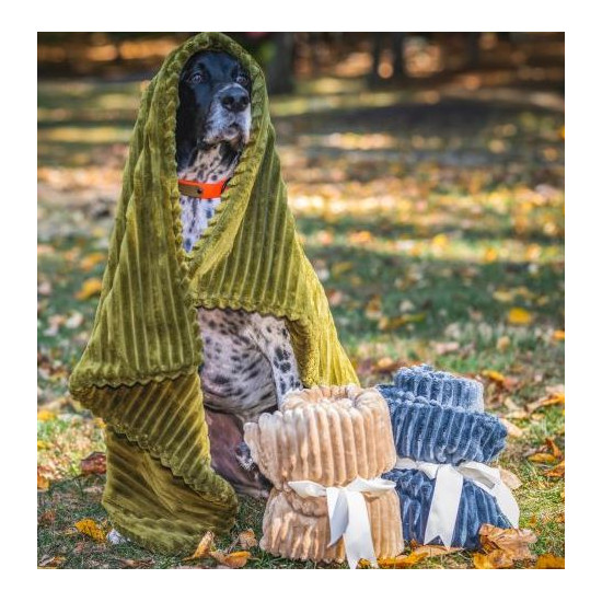 Scout Blankie