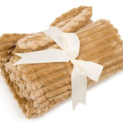 Scout Blankie