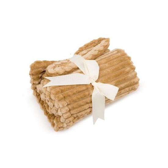 Scout Blankie