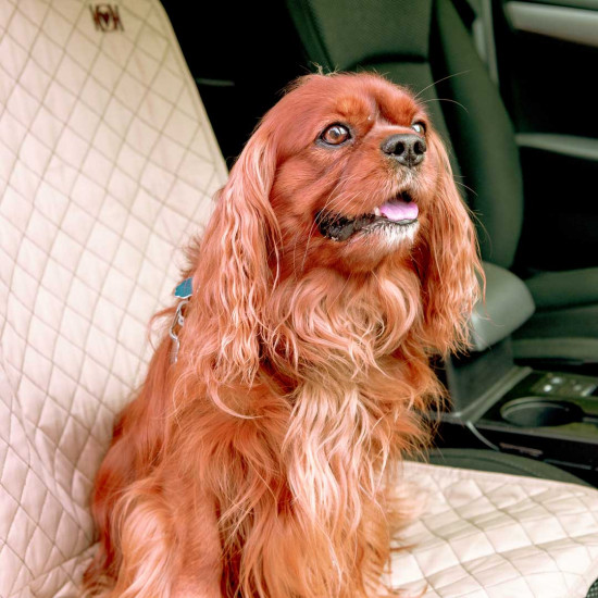 Car Front Seat Protector