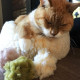HuggleKats HuggleFleece FlufferFleece Balls (3pc)