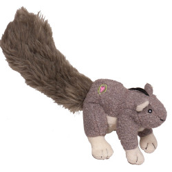 Critters - Big and Lil' Feller Squirrel