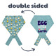 Bow Ties - Chicks & Eggs
