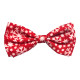 Bow Ties/Pinwheels - Snowflake