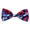 Americana Tie Dye