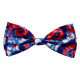 Americana Tie Dye