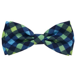 Navy Check