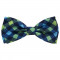 Navy Check