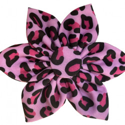 Pink Leopard