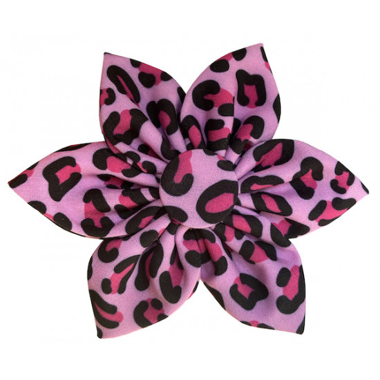 Pink Leopard