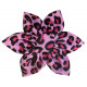 Pink Leopard