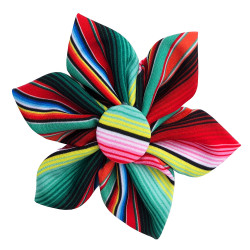 Serape Stripe