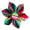Serape Stripe