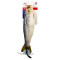 Kicker - Sardine