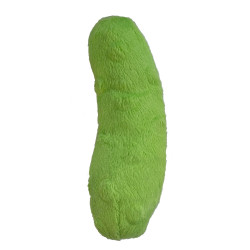 Pickle