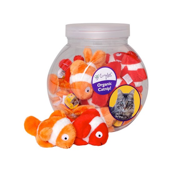 Goldfish (Clown Fish)