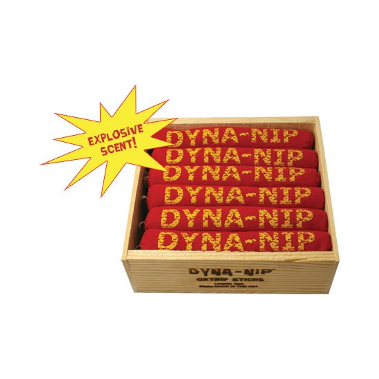 Dyna Nip