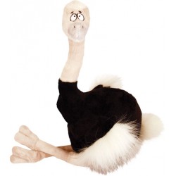 Fat Ostrich