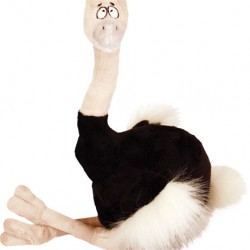 Fat Ostrich