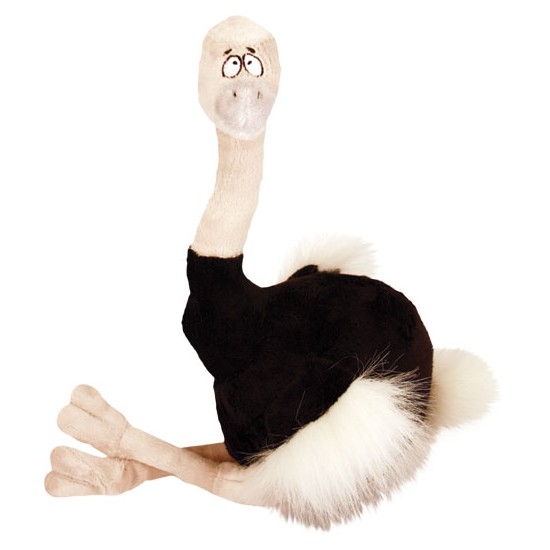 Fat Ostrich