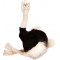 Fat Ostrich