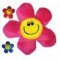 Flower  Power in Vase